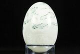 Polished Tree Agate Egg - India #308865-1